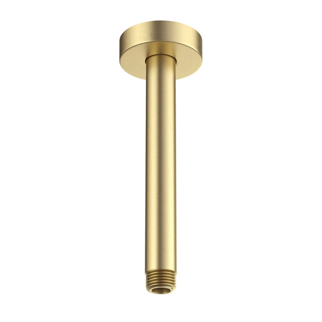 Rubi Brass 8 Po.Round Vert. Show. Arm Brushed Gold RBDVR8OR - Plumbing Market