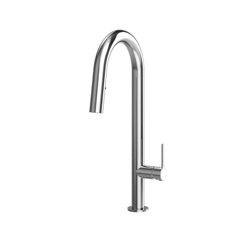 Rubi Cartier Tall Pull Out Spray Single Lever Kitchen Faucet - Plumbing Market