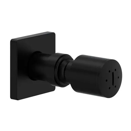 Single Function Body Spray - Plumbing Market