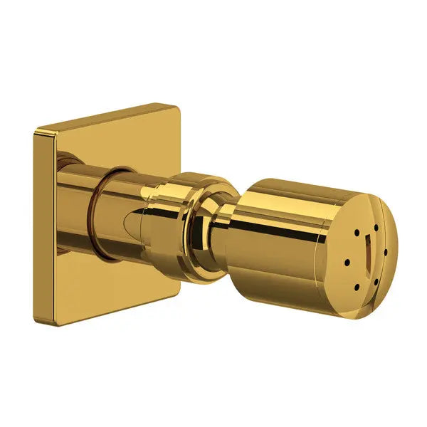 Single Function Body Spray - Plumbing Market