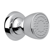 Single Function Body Spray - Plumbing Market