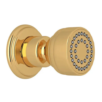 Single Function Body Spray - Plumbing Market