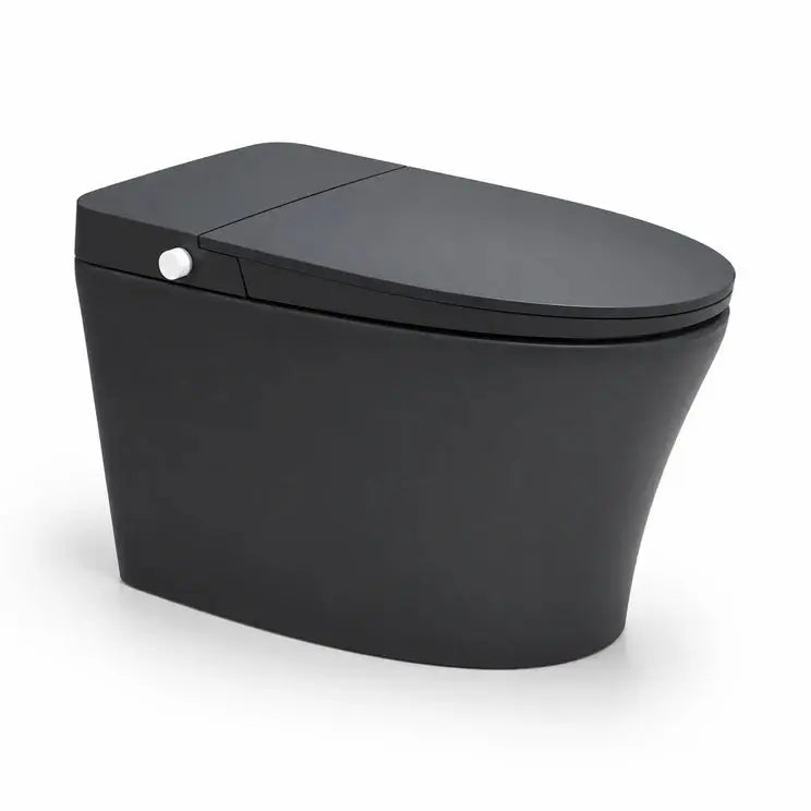 Smart toilets with built-in tank Integrated Smart Toilet (SMT-V12D-MB)