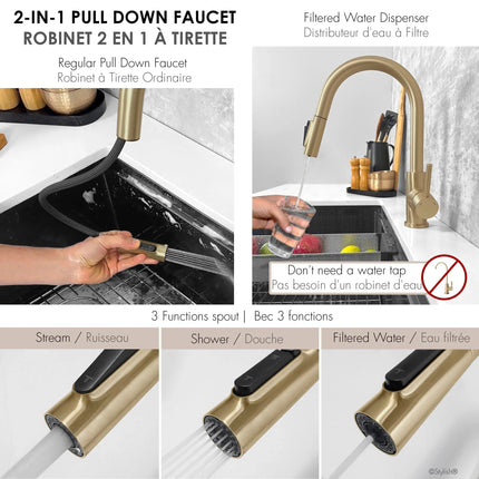Stylish Modena Single Handle Brushed Gold Pull Down Kitchen Faucet with Reversible Osmosis - Plumbing Market