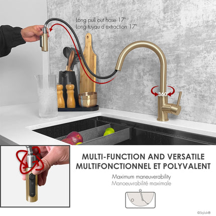 Stylish Modena Single Handle Brushed Gold Pull Down Kitchen Faucet with Reversible Osmosis - Plumbing Market