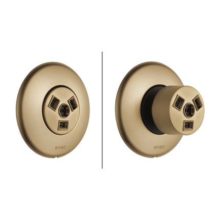 Brizo Hydrachoice Max® Round Body Spray Trim T84613-GL - Plumbing Market