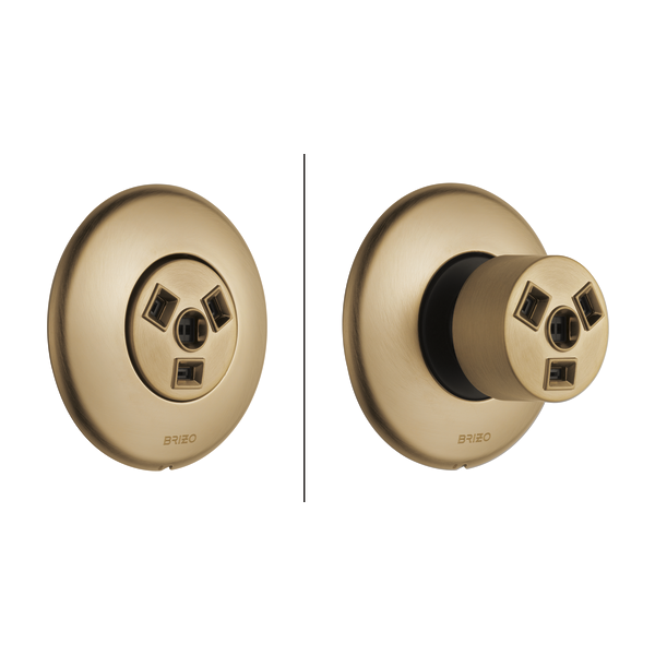 Brizo Hydrachoice Max® Round Body Spray Trim T84613-GL - Plumbing Market