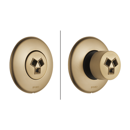 Brizo Hydrachoice Max® Round Body Spray Trim T84613-GL - Plumbing Market