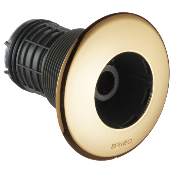 Brizo Hydrachoice Max® Round Body Spray Trim T84613-PG - Plumbing Market