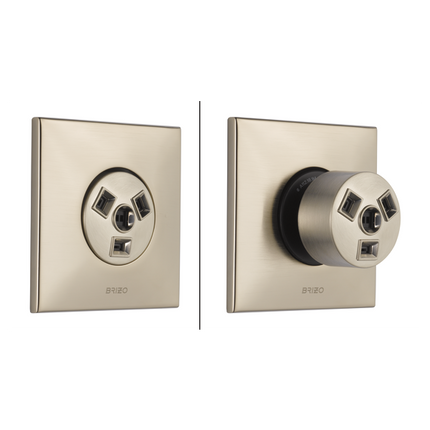 Brizo Hydrachoice Max® Square Body Spray Trim T84913-BN - Plumbing Market