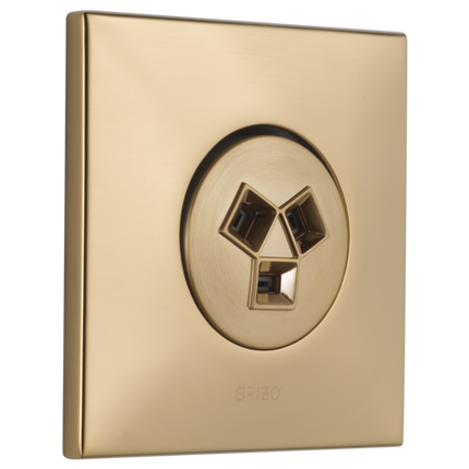 Brizo Hydrachoice Max® Square Body Spray Trim T84913-GL - Plumbing Market