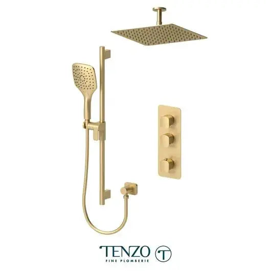 Tenzo Delano Extenza 2 Function Shower Faucet with 12 Inch Head Ceiling Mounted - DET42-21132