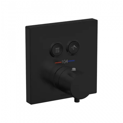 Thermostatic Mixing Valve 2-Function Trim - Plumbing Market