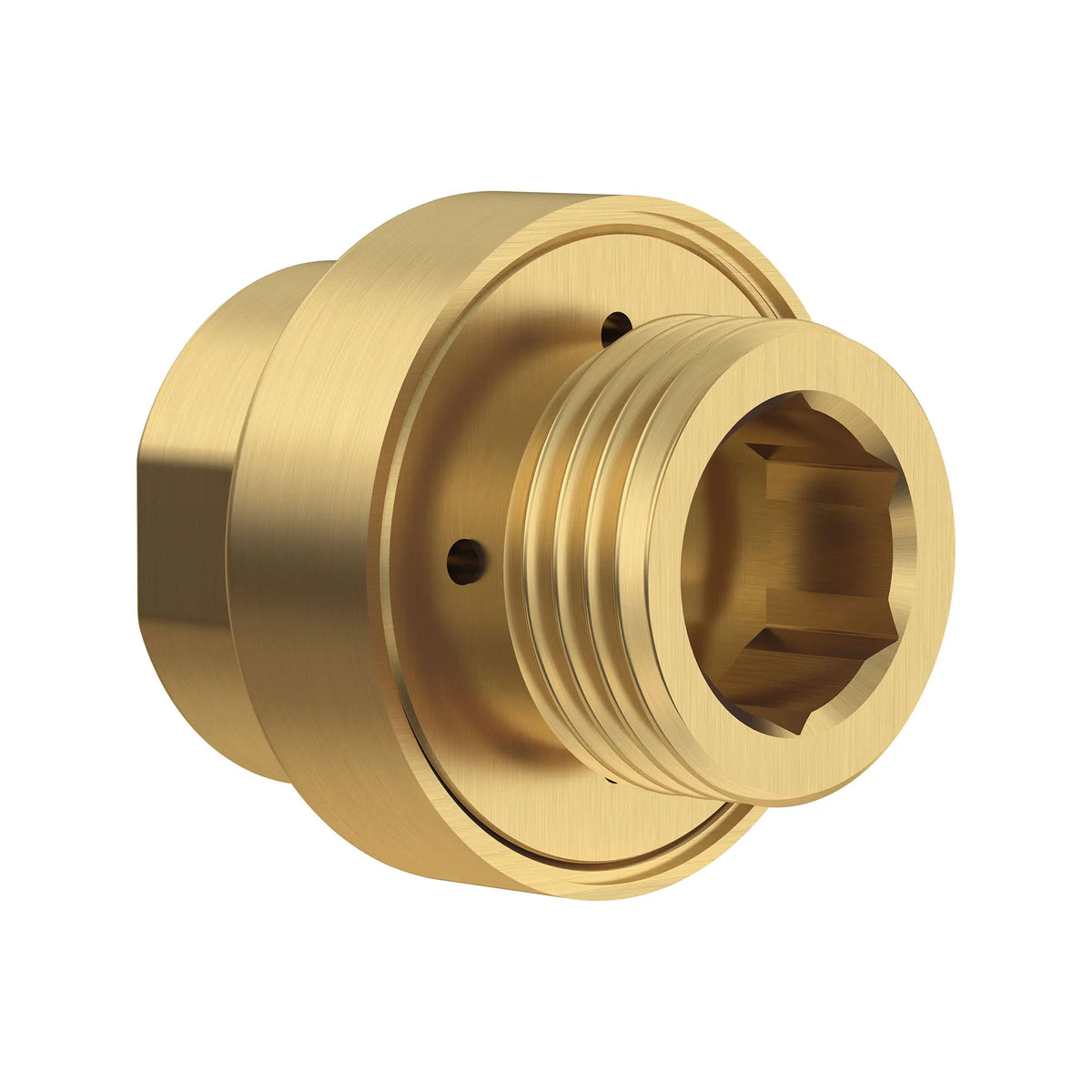 American Standard 1/2-Inch NPT In-Line Vacuum Breaker 1660400 - details