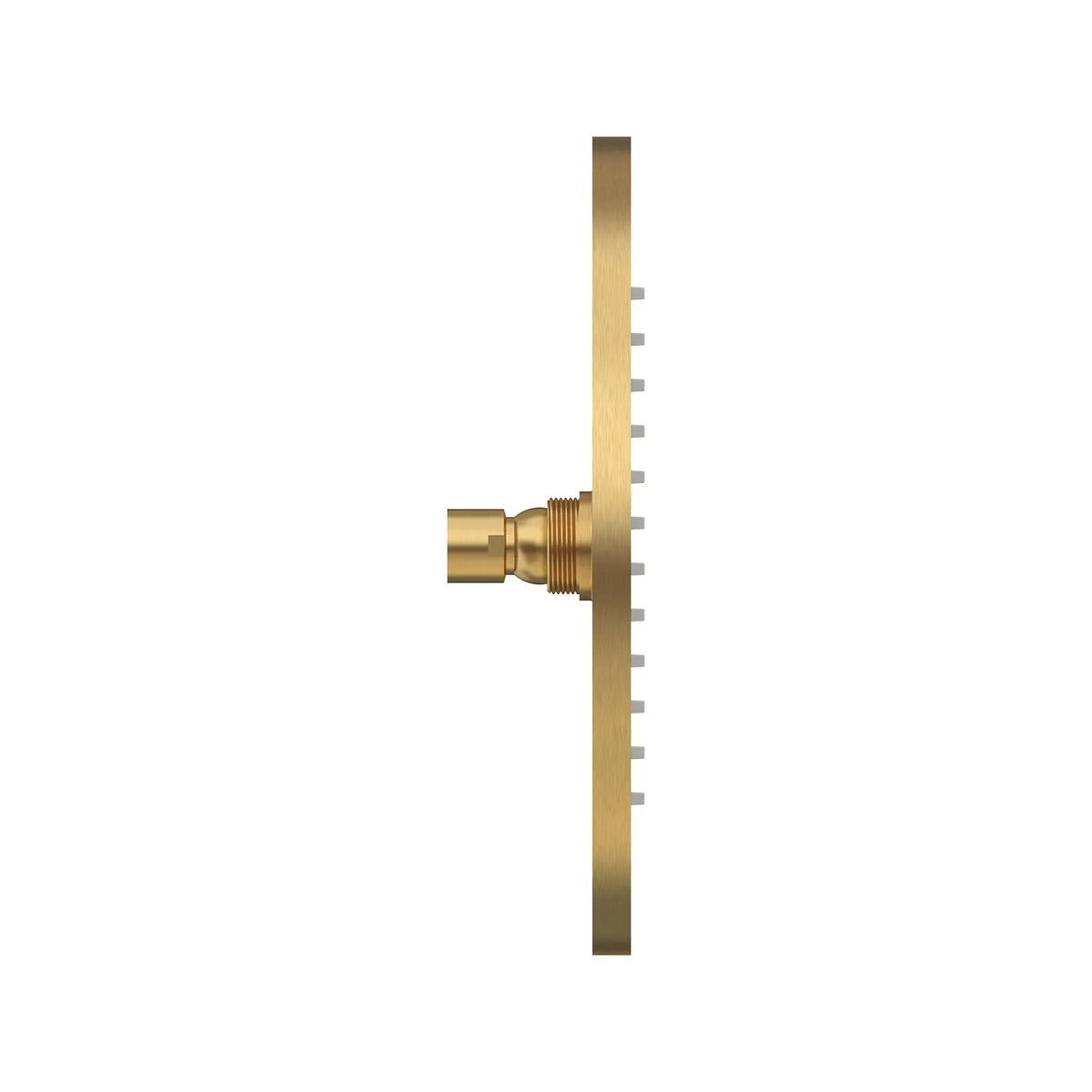 American Standard Modern 10-Inch 2.5 gpm/9.5 L/min Rain Showerhead - details