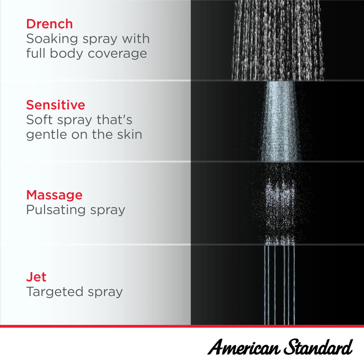 American Standard Spectra Duo 1.8 GPM 4-Function 2-in-1 Shower Head - details