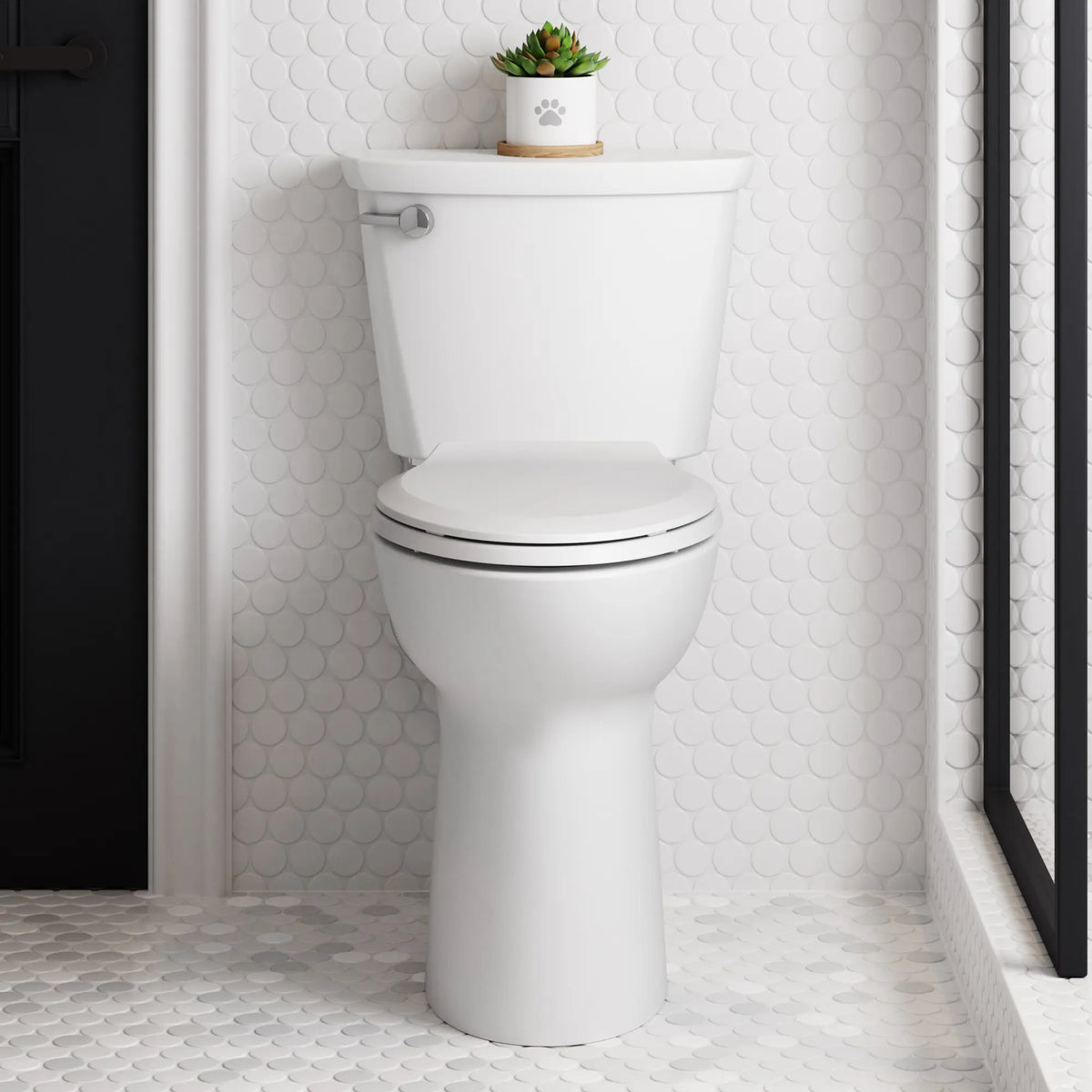 American Standard Cadet PRO Two-Piece 1.28 gpf/4.8 Lpf Extra Tall Height Elongated 10-Inch Rough Toilet Less Seat - details