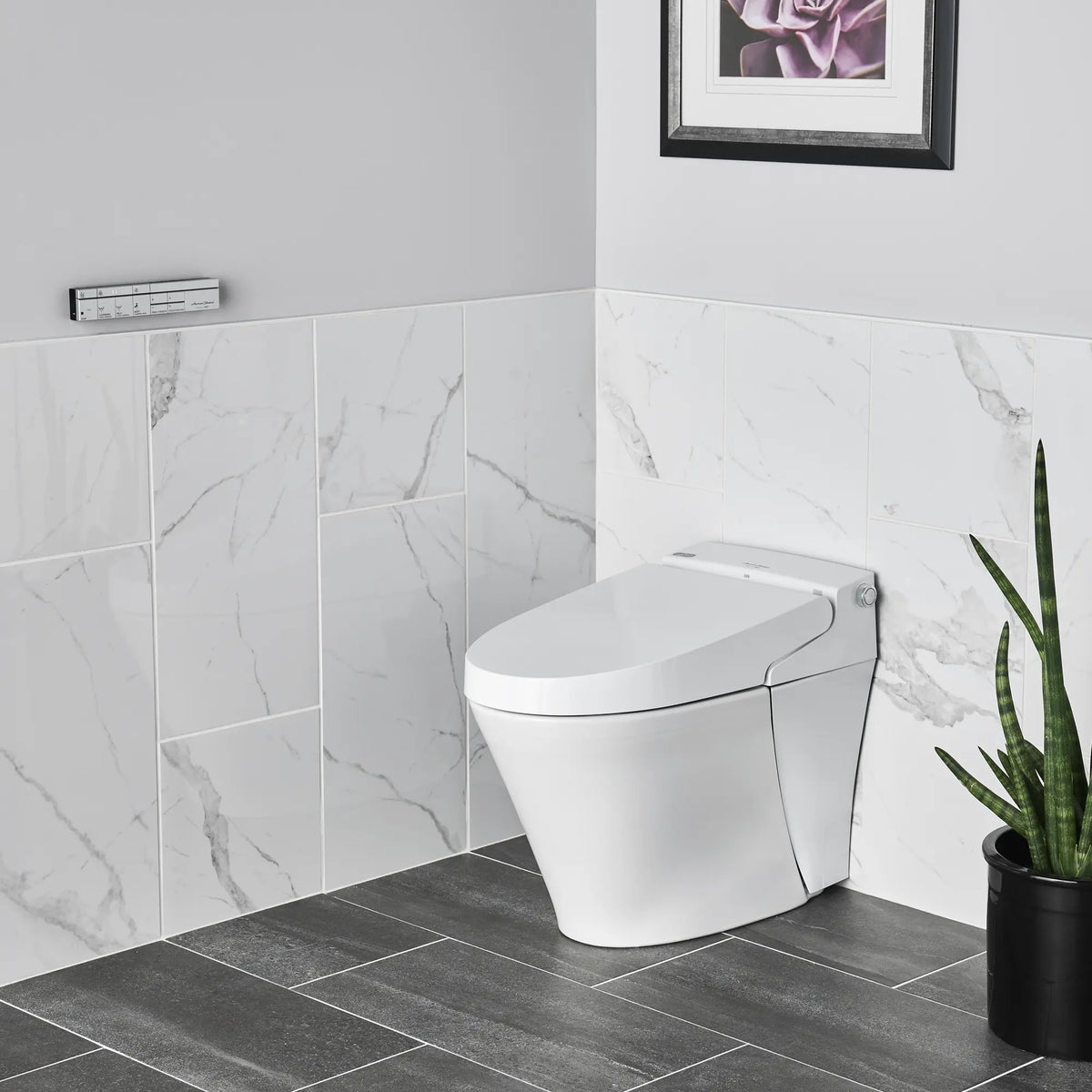 American Standard Advanced Clean 100 SpaLet Bidet Toilet Bowl - details