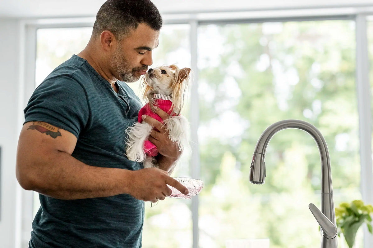 American Standard Saybrook Single-Handle Pull-Down Dual Spray Kitchen Faucet 1.5 gpm/5.7 L/min With Filter - details