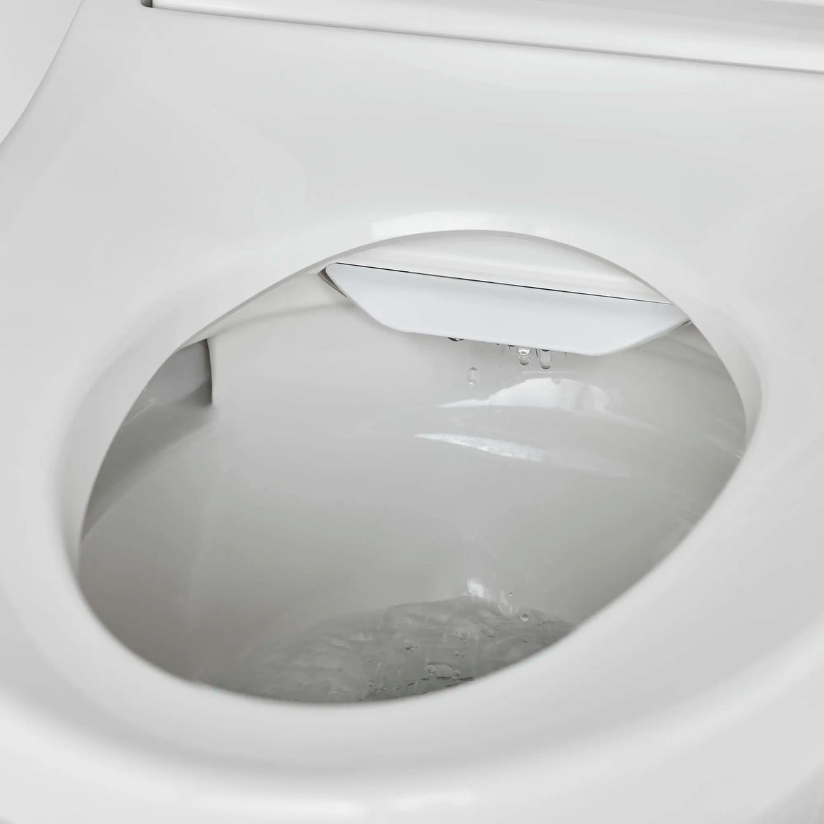 American Standard Advanced Clean 3.0 Electric SpaLet Bidet Seat With Remote Operation - details