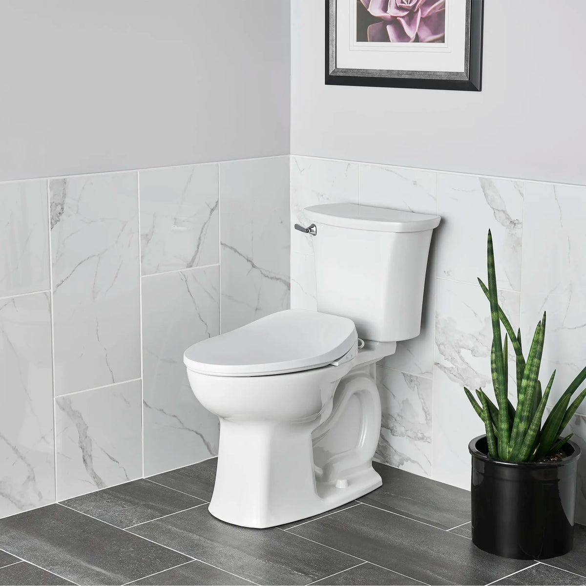 American Standard AquaWash 2.0 Electric SpaLet Bidet Seat With Manual Operation - details