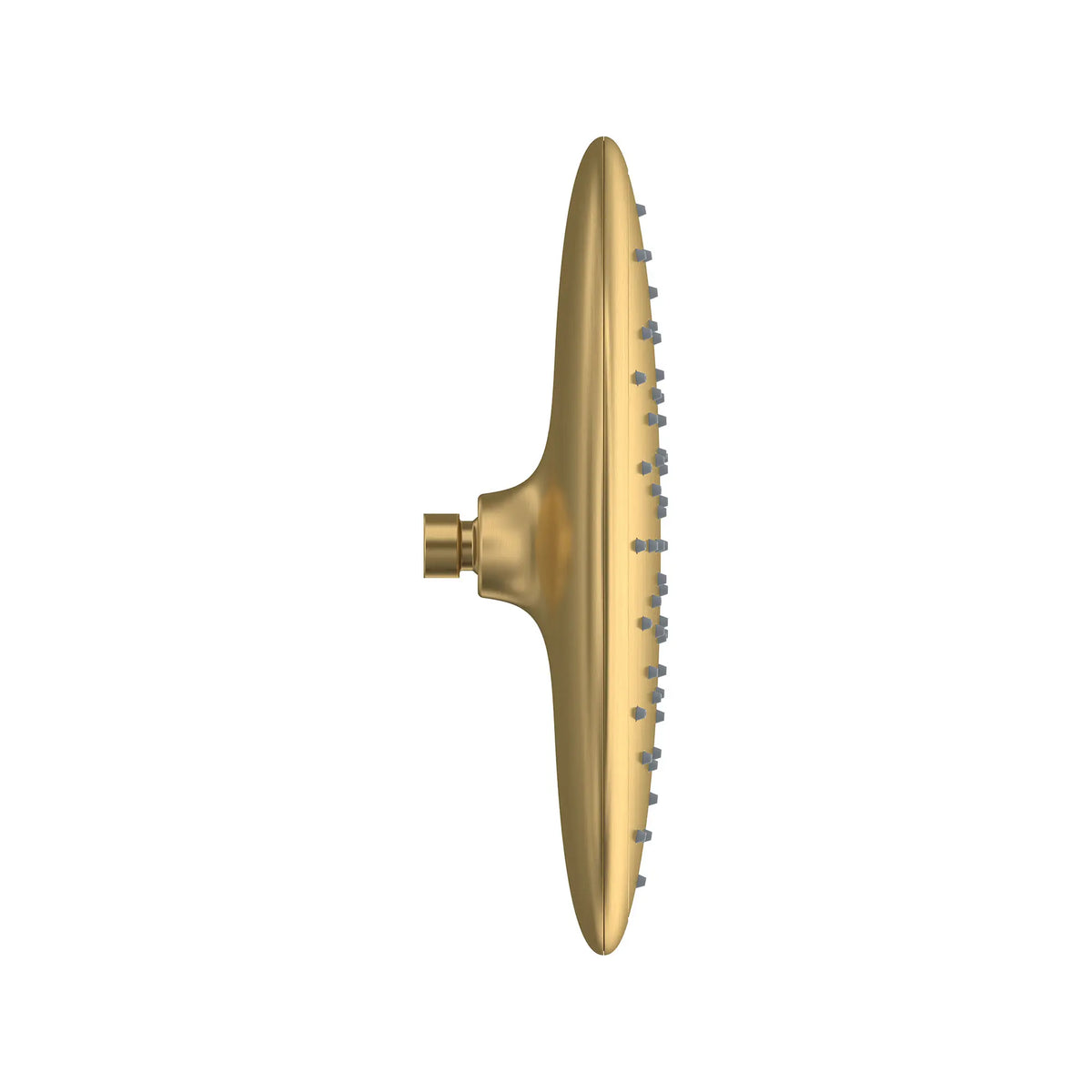 American Standard Spectra Rain 11-Inch 1.8 gpm/6.8 L/min Water-Saving Rain Showerhead - Brushed Cool Sunrise