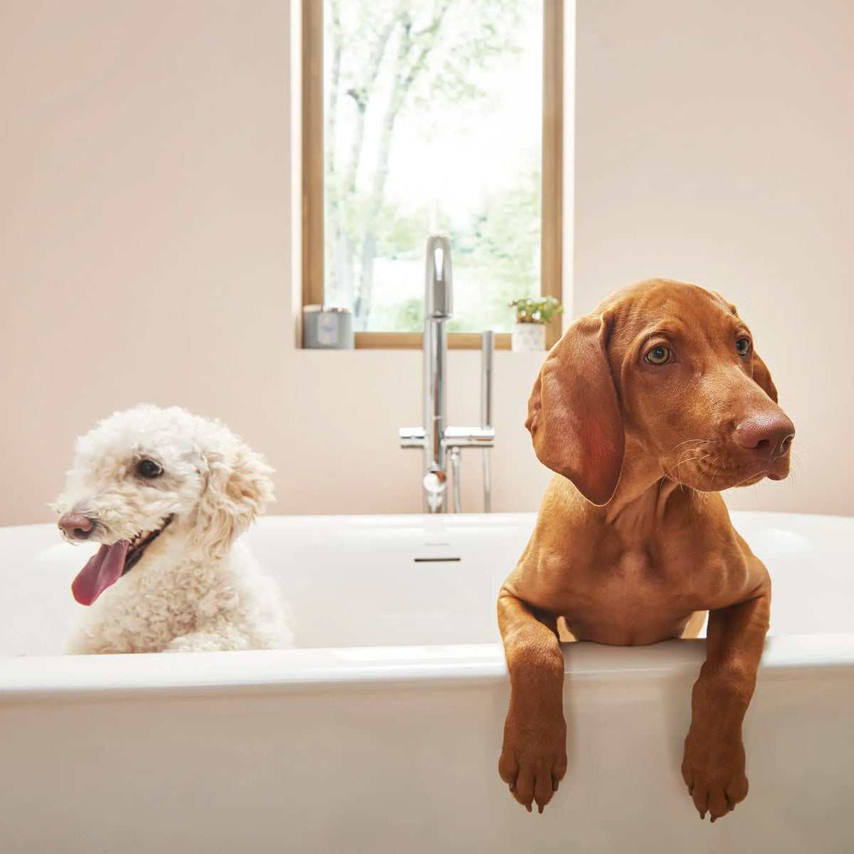 American Standard Contemporary Round Freestanding Bathtub With Lever Handle Faucet for Flash Rough-In Valve - details