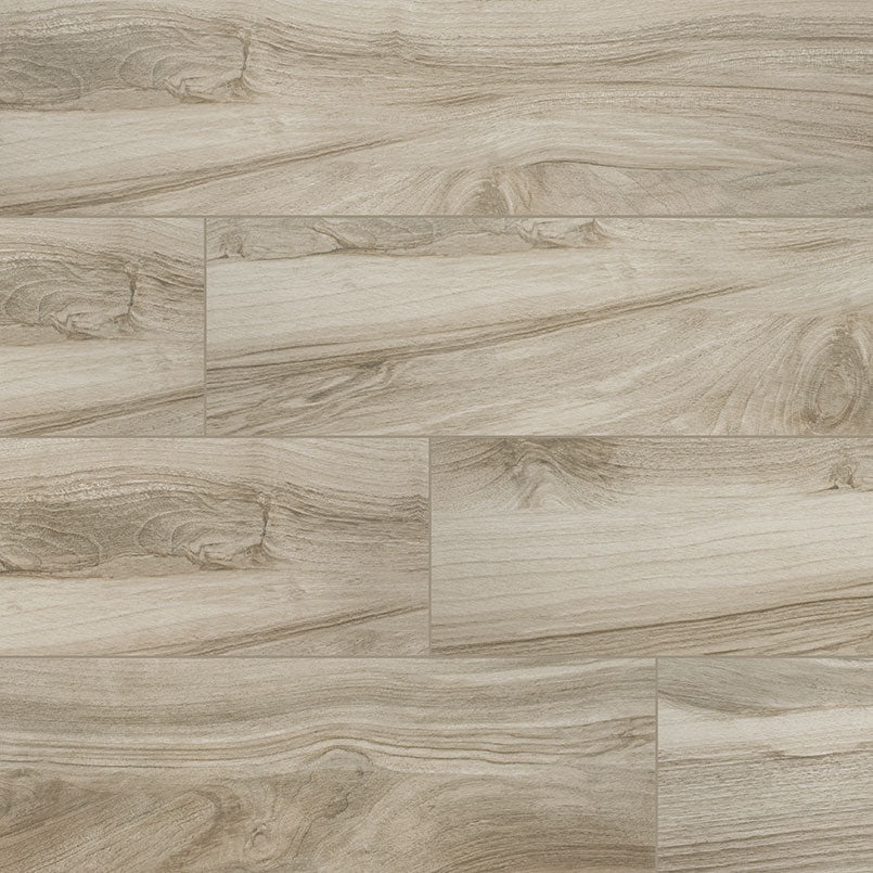 MSI Aspenwood Ash 9 x 48 Matte Porcelain tile (NASPASH9X48) – MSI product image