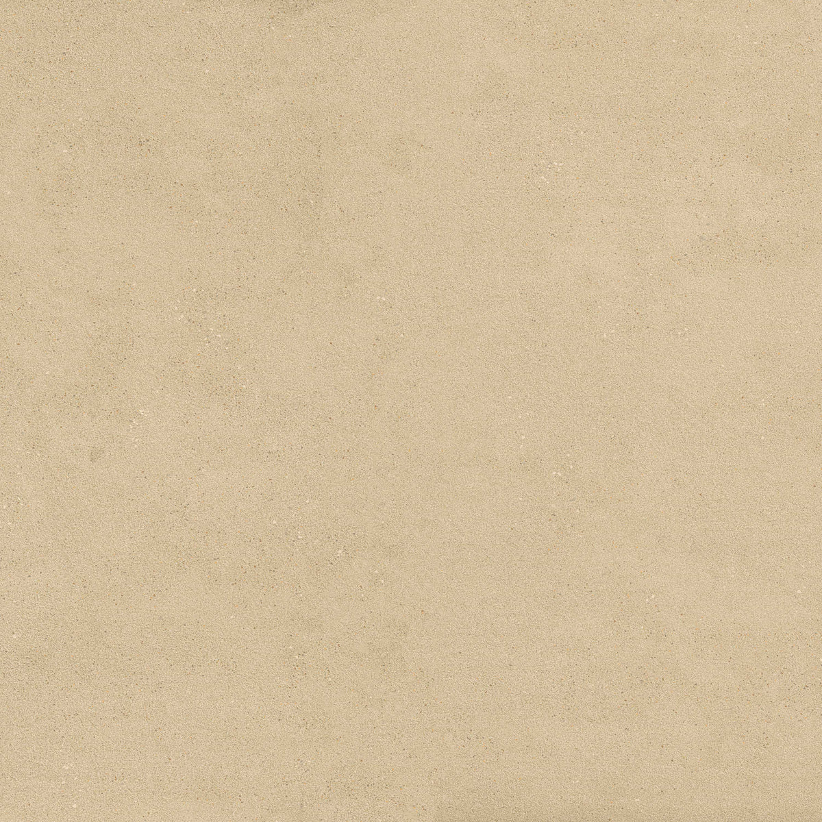 MSI Architecta Beige 48 x 48 Matte Porcelain tile (NARCBEI4848-R11) – MSI product image