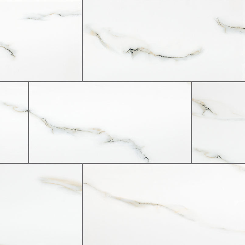 MSI Aria Bianco 24 x 48 Polished Porcelain tile (NARIBIA2448P) – MSI product image