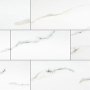 MSI Aria Bianco 12 x 24 Polished Porcelain tile (NARIBIA1224P) – MSI product image
