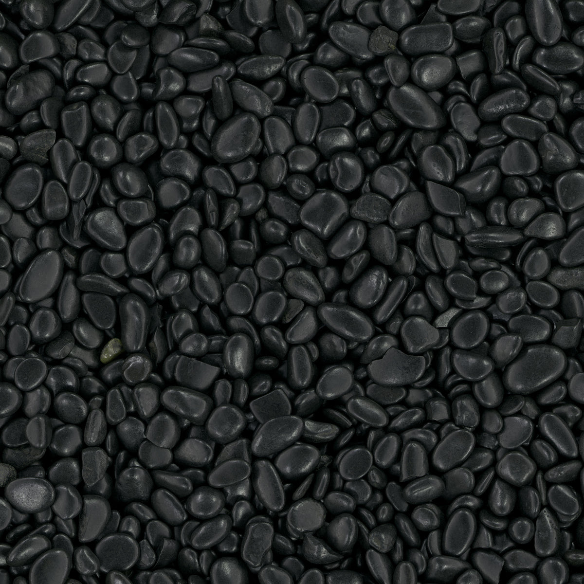 MSI Black Polished pebbles (LPEBQBLK2POL40)