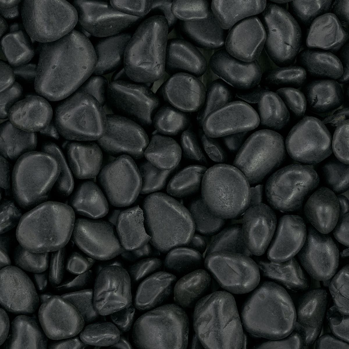 MSI Black Polished pebbles (LPEBQBLK5POL40)