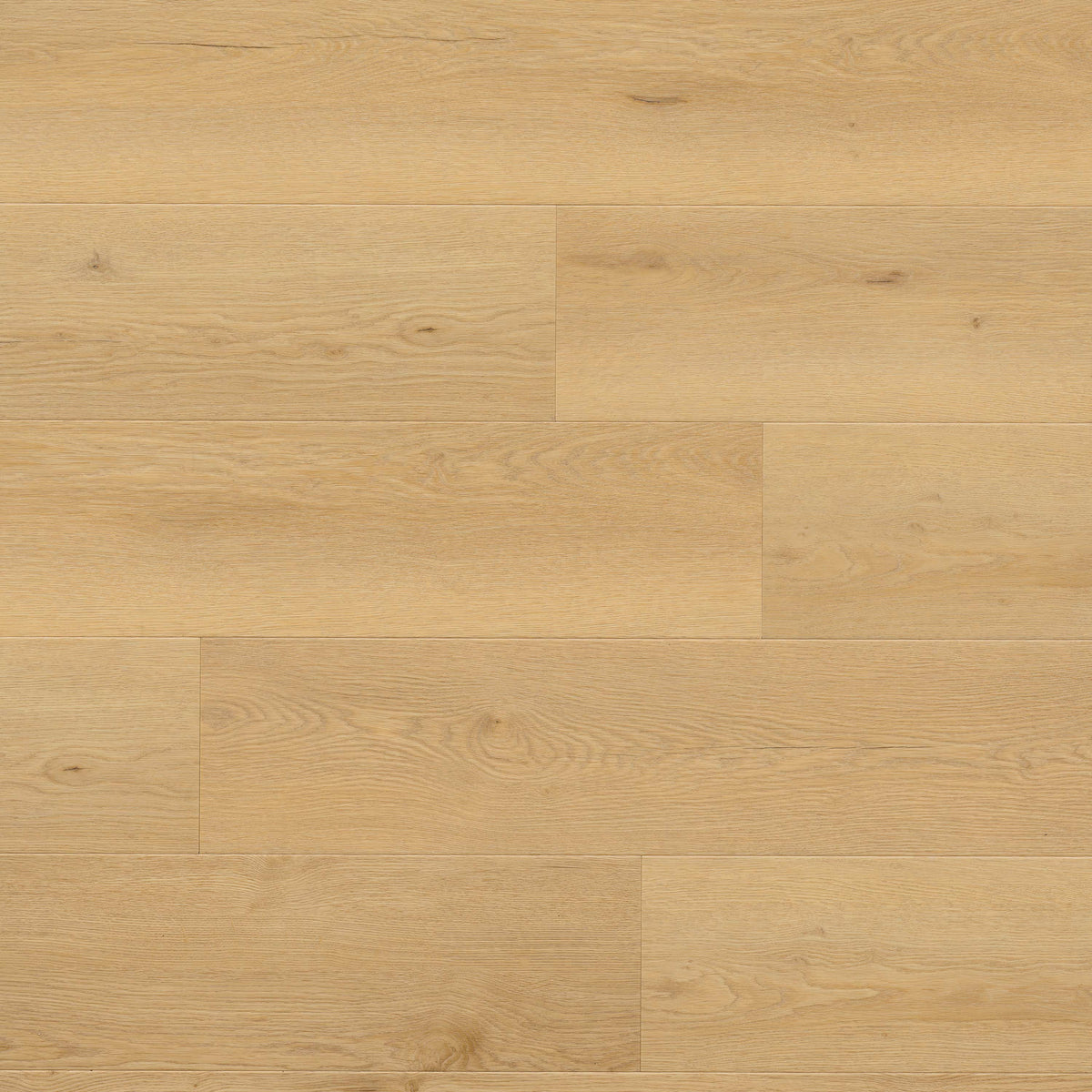 MSI Wayne Parc Bluffview luxury vinyl plank 9 x 60 (VTRBLUFFV9X60-10MM-22MIL)