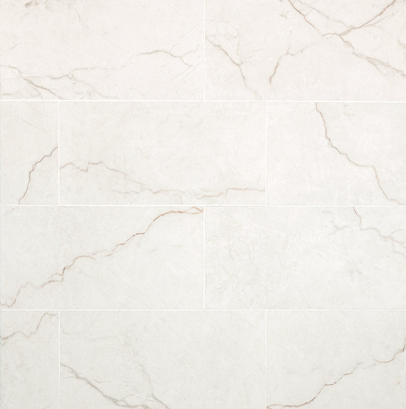 MSI Brighton Gold 12 x 24 Polished Porcelain tile (NBRIGOL1224P) – MSI product image