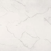 MSI Brighton Grey 12 x 24 Polished Porcelain tile (NBRIGRE1224P) – MSI product image