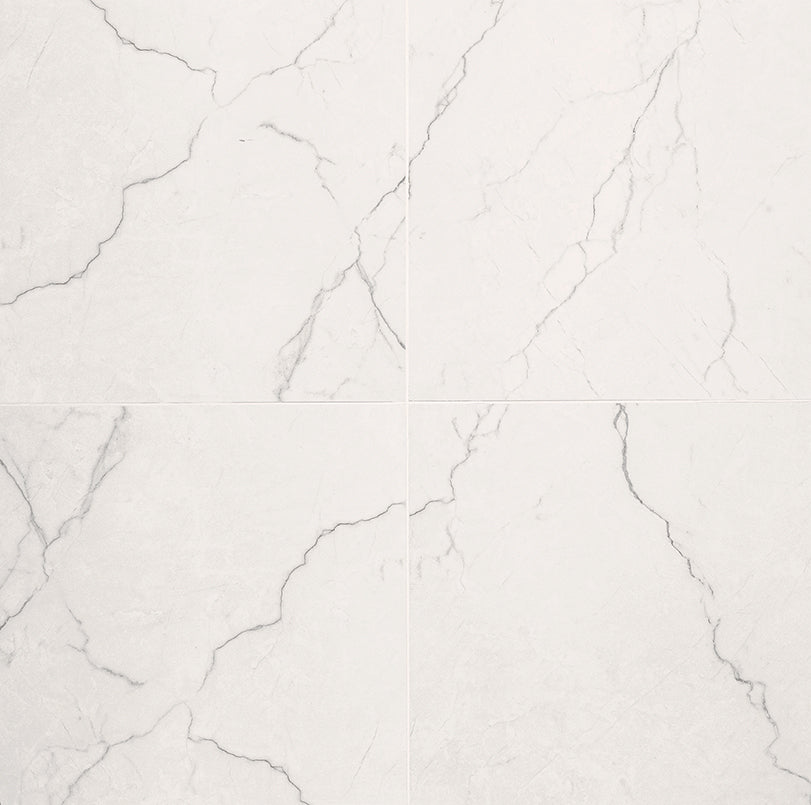 MSI Brighton Grey 24 x 24 Polished Porcelain tile (NBRIGRE2424P) – MSI product image
