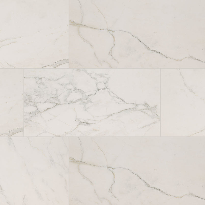 MSI Regallo Calacatta Isla 24 x 48 Polished Porcelain tile (NREGCALISL2448P) – MSI product image