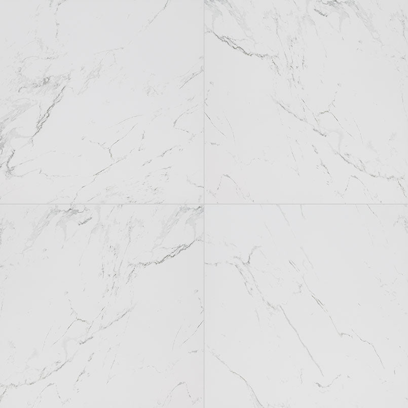 MSI Pietra Carrara 24 x 24 Matte Porcelain tile (NCAR2424-N) – MSI product image