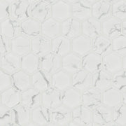MSI Carrara 2" Hexagon Matte Porcelain mosaic (SMOT-PT-CAR-2HEXM) – MSI product image