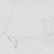 MSI Pietra Carrara 12 x 24 Matte Porcelain tile (NCAR1224-N) – MSI product image