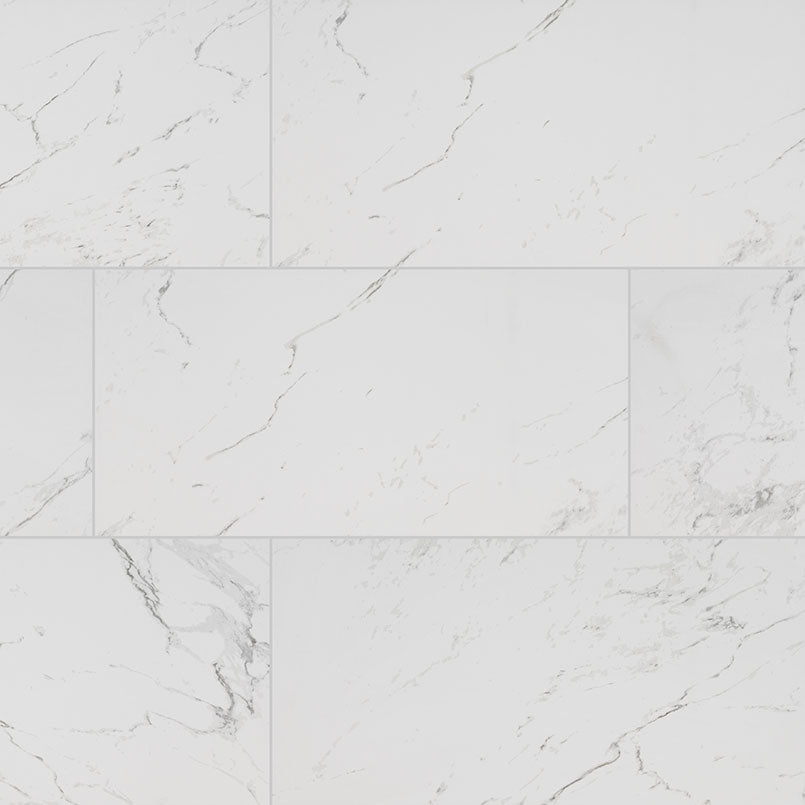 MSI Pietra Carrara 12 x 24 Polished Porcelain tile (NPIECAR1224P-N) – MSI product image