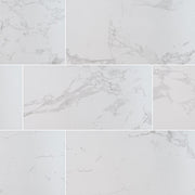 MSI Praia Carrara 12 x 24 Polished Porcelain tile (NPRACAR1224P) – MSI product image