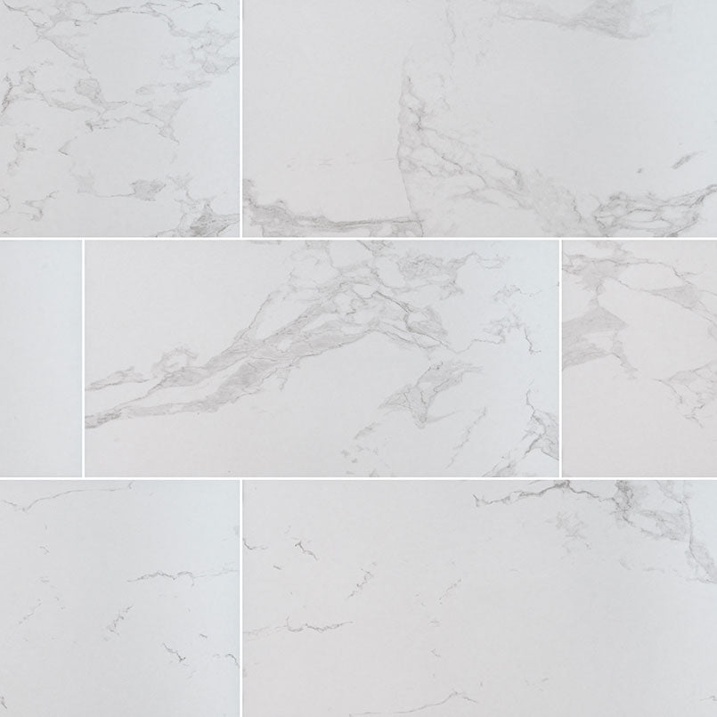 MSI Praia Carrara 12 x 24 Polished Porcelain tile (NPRACAR1224P) – MSI product image