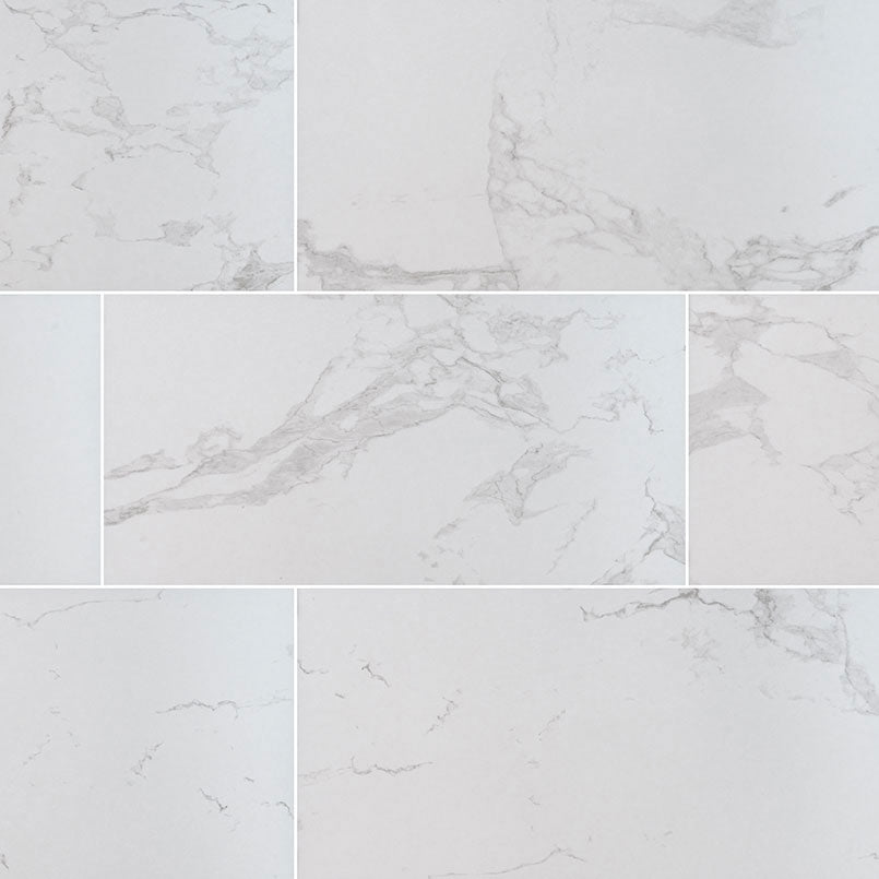 MSI Praia Carrara 24 x 48 Matte Porcelain tile (NPRACAR2448) – MSI product image