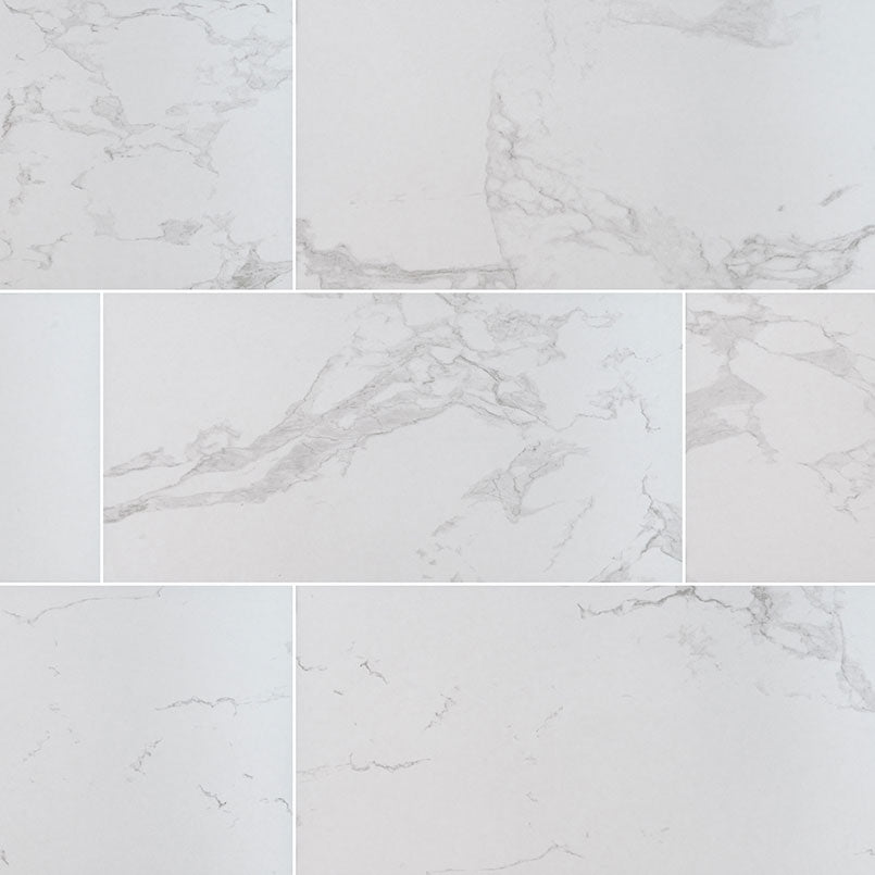 MSI Praia Carrara 24 x 48 Matte Porcelain tile (NPRACAR2448) – MSI product image