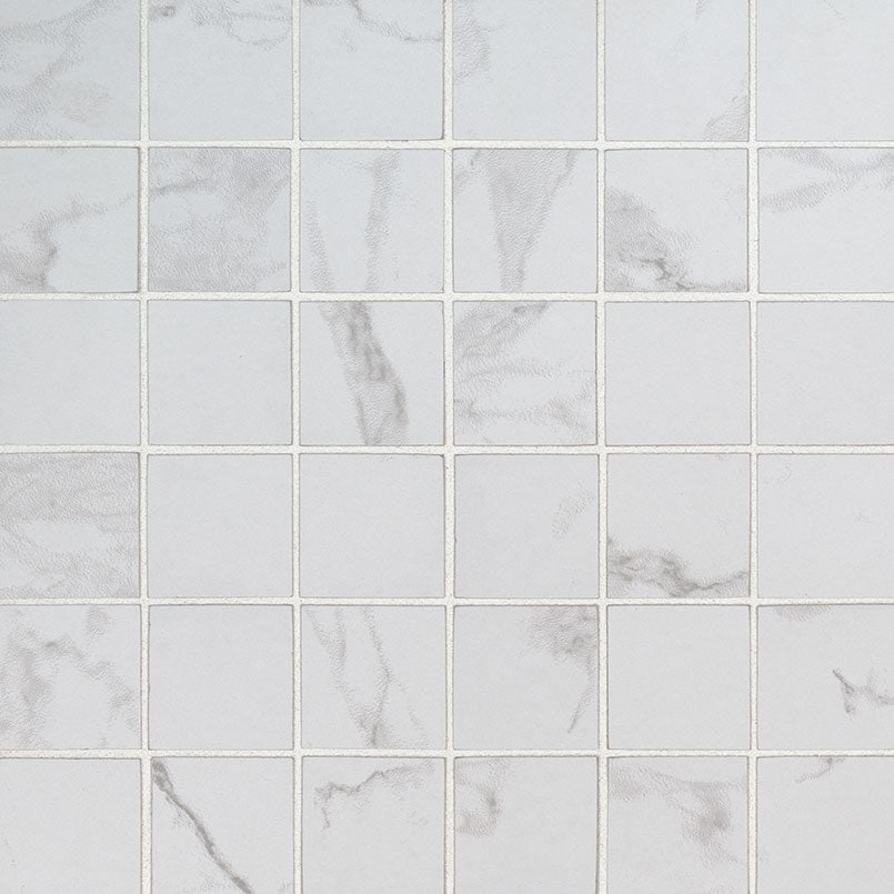 MSI Praia Carrara 2 x 2 Matte Porcelain mosaic (NPRACAR2X2) – MSI product image