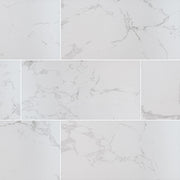 MSI Praia Carrara 12 x 24 Matte Porcelain tile (NPRACAR1224) – MSI product image