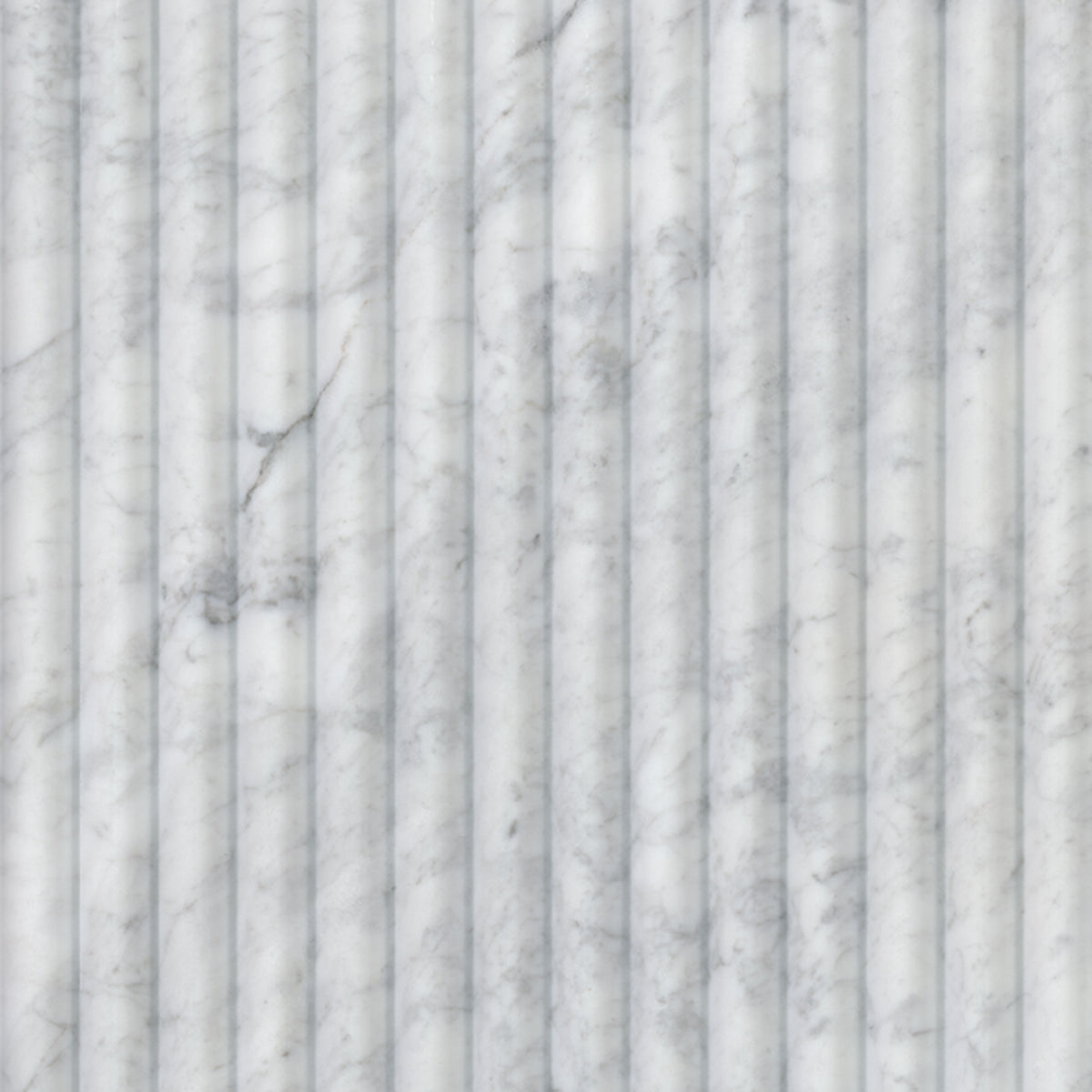 MSI Carrara White Milano Ribbo 12 x 24 Honed Marble tile (TCARWHT1224MR) – MSI product image