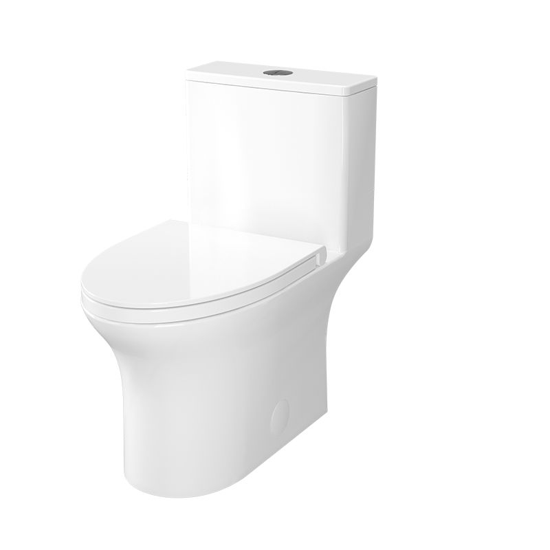 Rubi RMC Dual Flush One Piece Elongated Toilet With Soft Close Seat RCM122BL